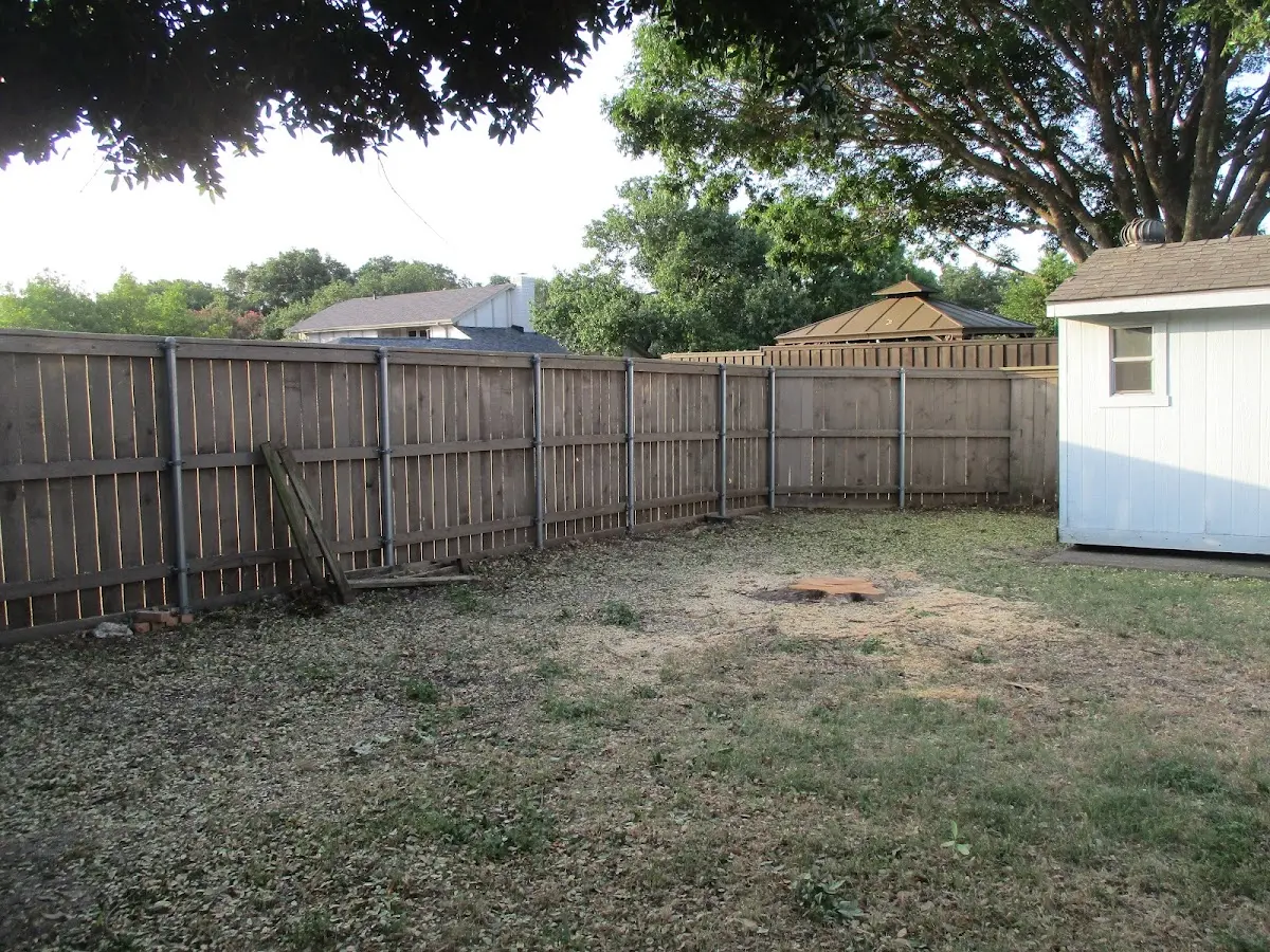 Cleared yard after professional tree removal in Ochelata