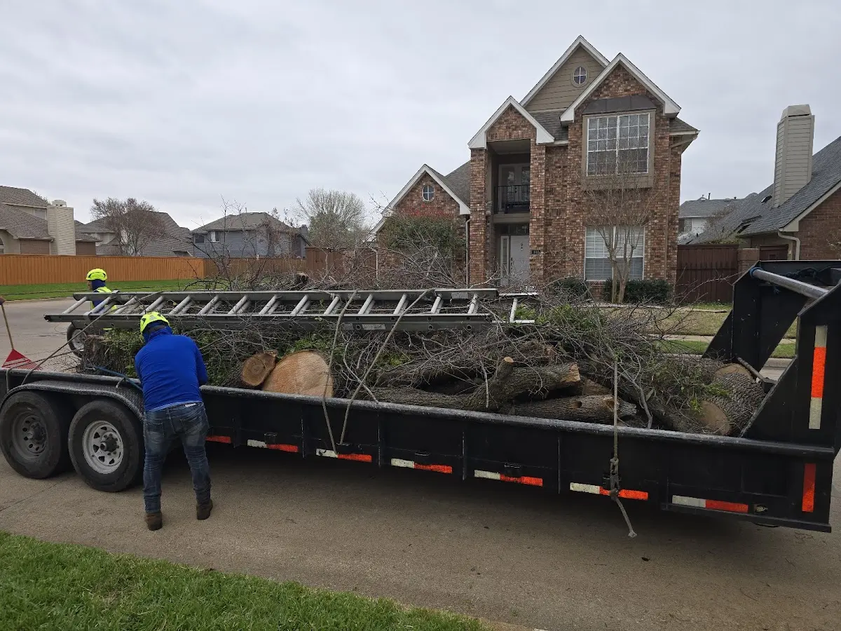 Expert Lot Clearing with proper safety equipment in Ochelata